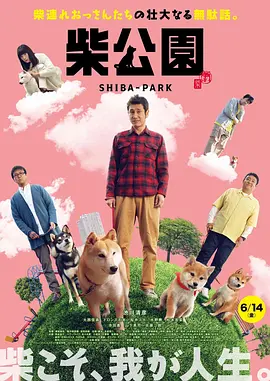 免费国产成人高清在线直播
