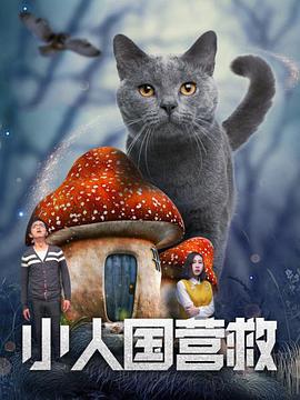 韩国的黄色片
