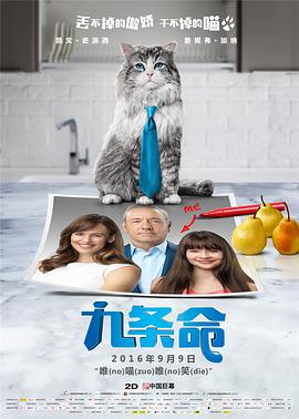 国产精品系列在线