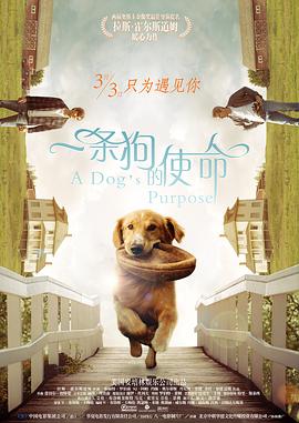 裸体孕妇孕交孕高潮