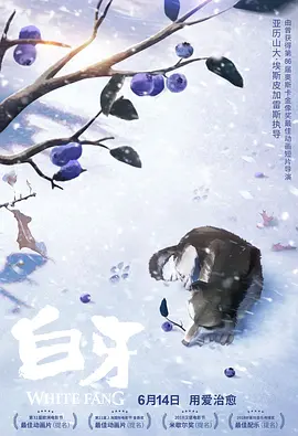 看逼逼
