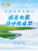 完美组合