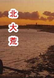 久久男人的天堂