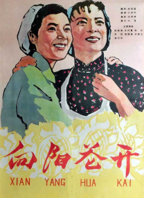舔女生下面
