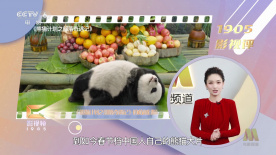 五月天激情丁香